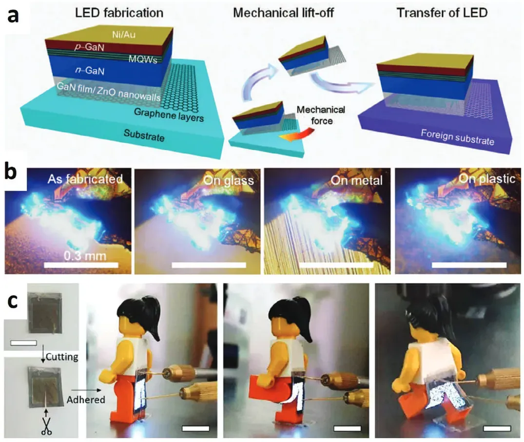 石墨烯上可转移LED塑料衬底柔性LED和可变形LED阵列